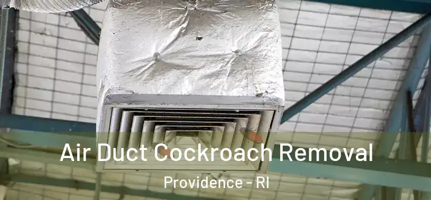 Air Duct Cockroach Removal Providence - RI