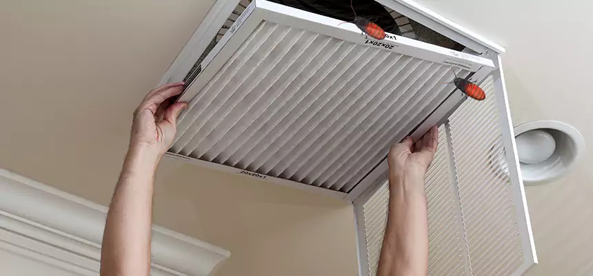 Preventive Cockroach-Proofing for Ducts in Providence