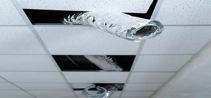 Our Air Duct Pet Hair Removal Services in Providence, RI