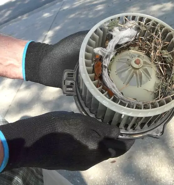 About Air Duct Mice Removal in Providence, RI