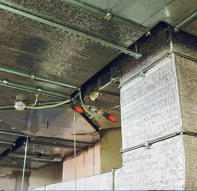 Why Homeowners & Businesses Trust Us in Providence, RI?