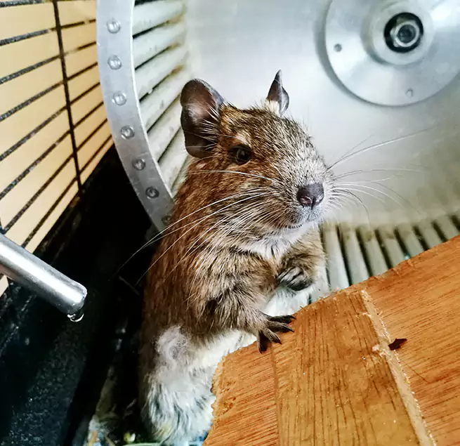 Why Homeowners & Businesses Trust Us Providence, RI?