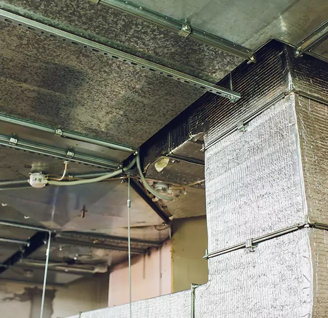 Why Homeowners & Businesses Trust Us in Providence, RI?